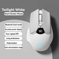 New Arrival Wireless BT mouse smart screen display dual-mode mute button 600mAh lithium battery Office tablet mouse laptop T250225