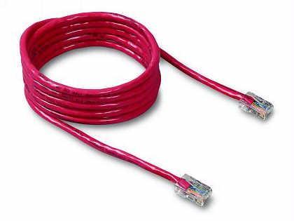 3ft cat5e patch cable, utp, red pvc jacket, 24awg, t568b, 50 micron, gold plated