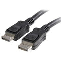 20' DisplayPort Cable